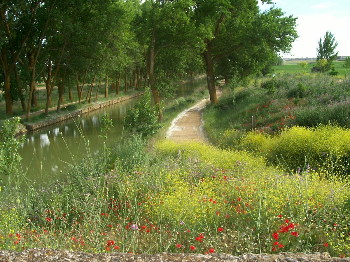 Quinta del Canal Tamariz de Campos Exterior foto