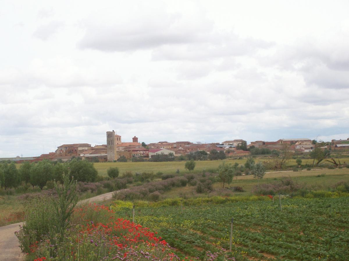 Quinta del Canal Tamariz de Campos Exterior foto